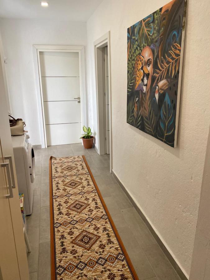 Maison Bellevue - 2 Bdrm Villa In Borsh Beach Eksteriør billede